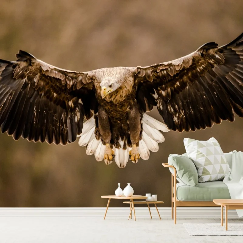 Fotomural águila majestuosa en vuelo
