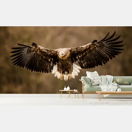 Fotomural águila majestuosa en vuelo – Pixers®