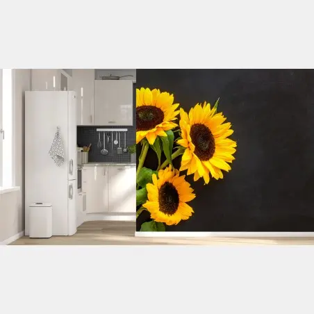 Fotomural girasoles sobre fondo negro – Pixers®
