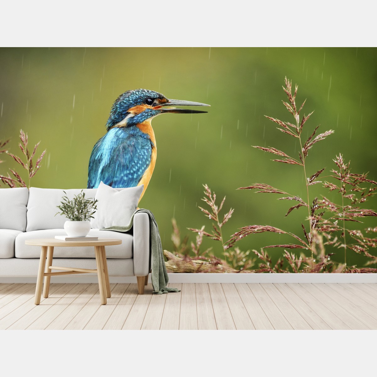 Fotomural martín pescador en la lluvia sobre rama – Pixers®