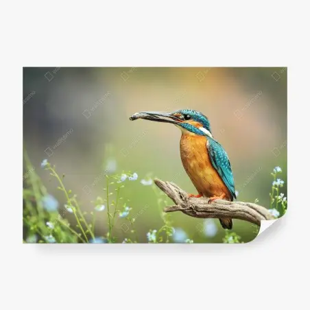 Fotomural martín pescador en rama con pez – Pixers®