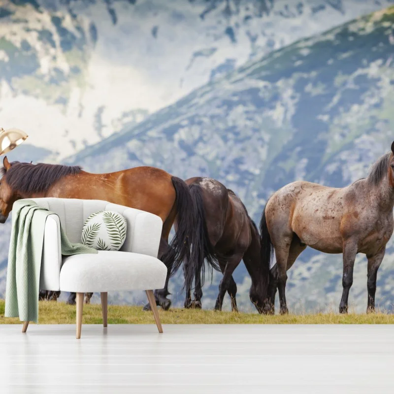 Fotomural manada de caballos en pradera de montaña