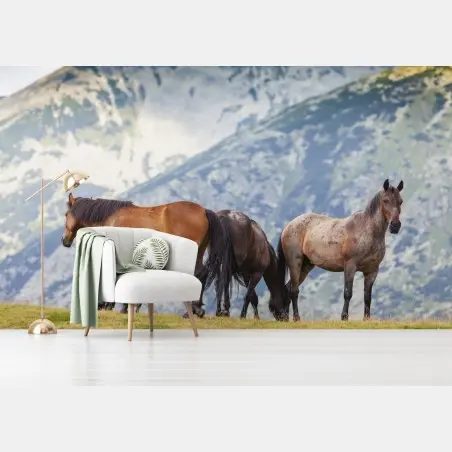 Fotomural manada de caballos en pradera de montaña – Pixers®