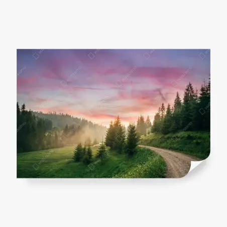Fotomural sendero entre pinos al atardecer – Pixers®