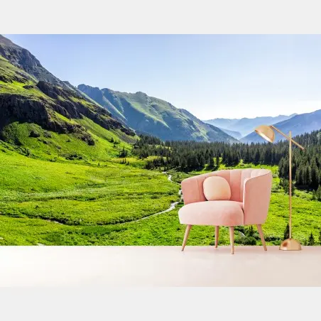 Fotomural valle alpino verde con arroyo serpenteante – Pixers®