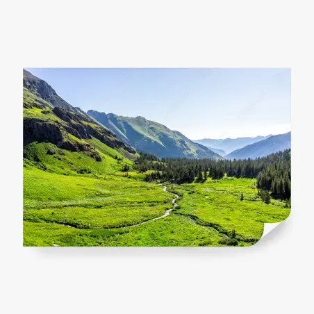 Fotomural valle alpino verde con arroyo serpenteante – Pixers®