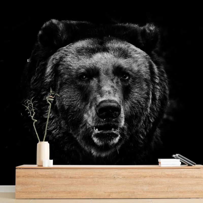 Fotomural rostro de oso pardo en blanco y negro