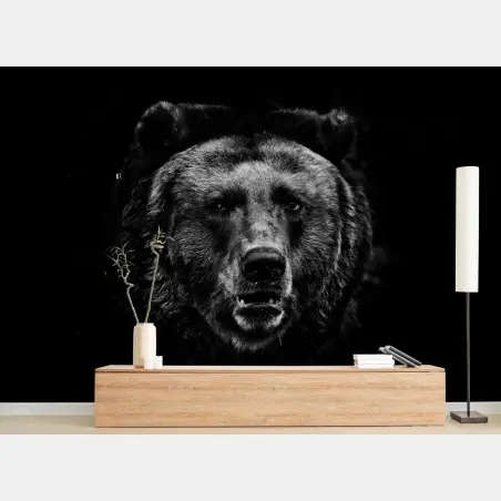 Fotomural rostro de oso pardo en blanco y negro – Pixers®