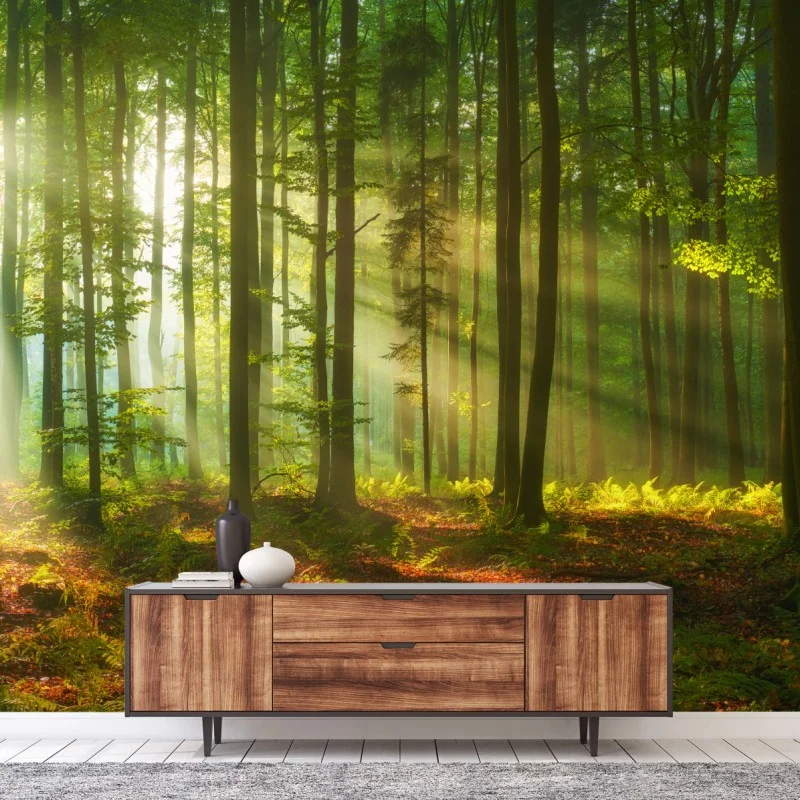 Fotomural amanecer dorado en el bosque