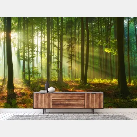 Fotomural amanecer dorado en el bosque – Pixers®