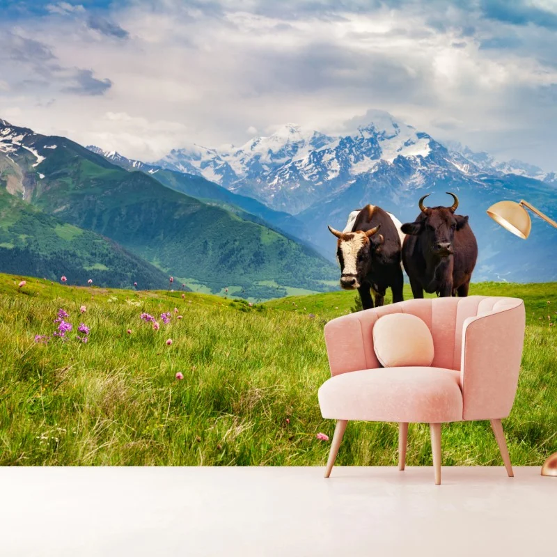 Fotomural vacas en pradera alpina frente a montañas nevadas