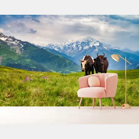 Fotomural vacas en pradera alpina frente a montañas nevadas – Pixers®