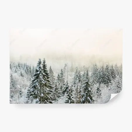 Fotomural bosque nevado entre niebla invernal – Pixers®
