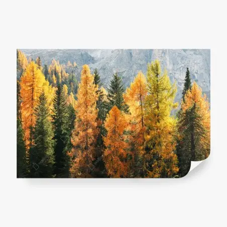 Fotomural bosque otoñal dorado en la montaña – Pixers®