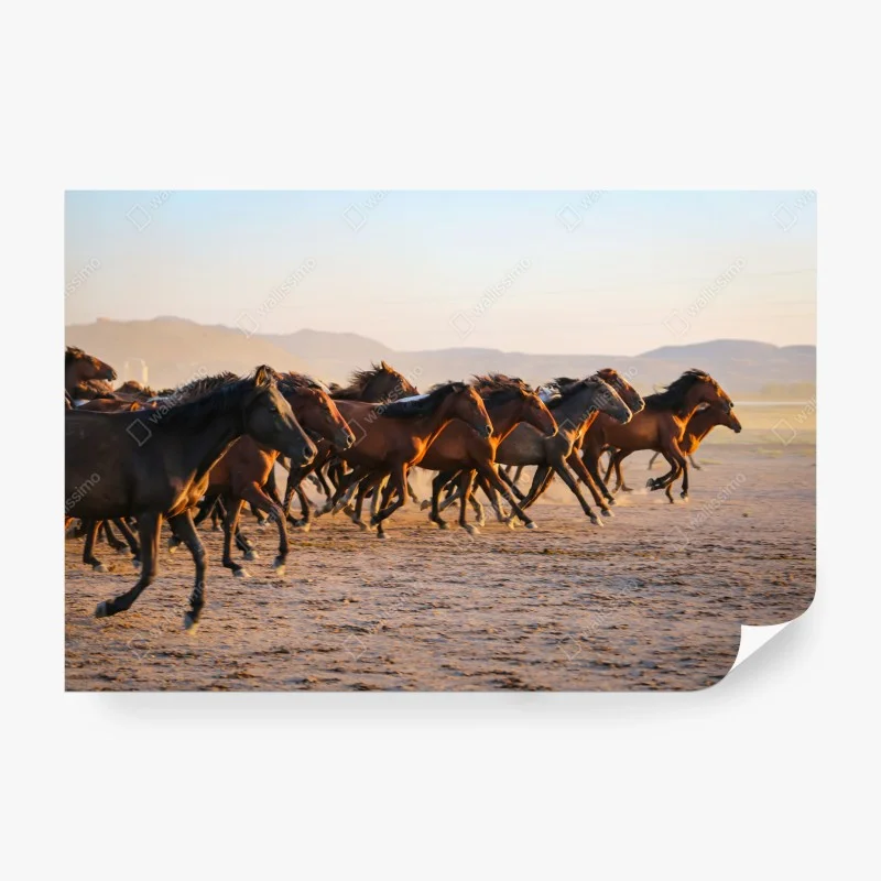 Fotomural manada de caballos yilki en libertad, Kayseri