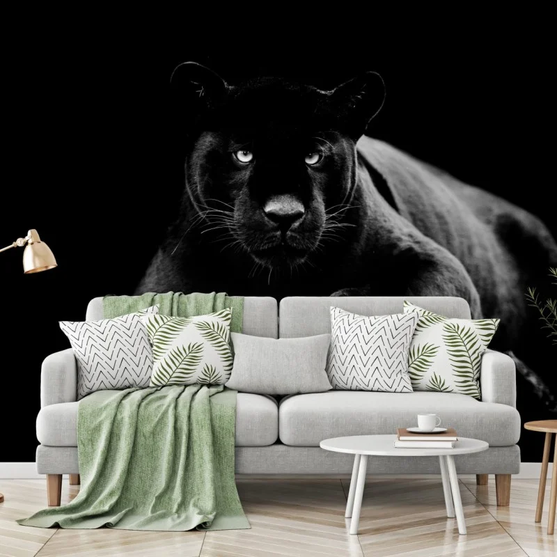 Fotomural pantera negra en penumbra
