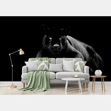 Fotomural pantera negra en penumbra – Pixers®