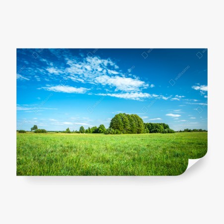 Fotomural pradera bajo cielo azul – Pixers®