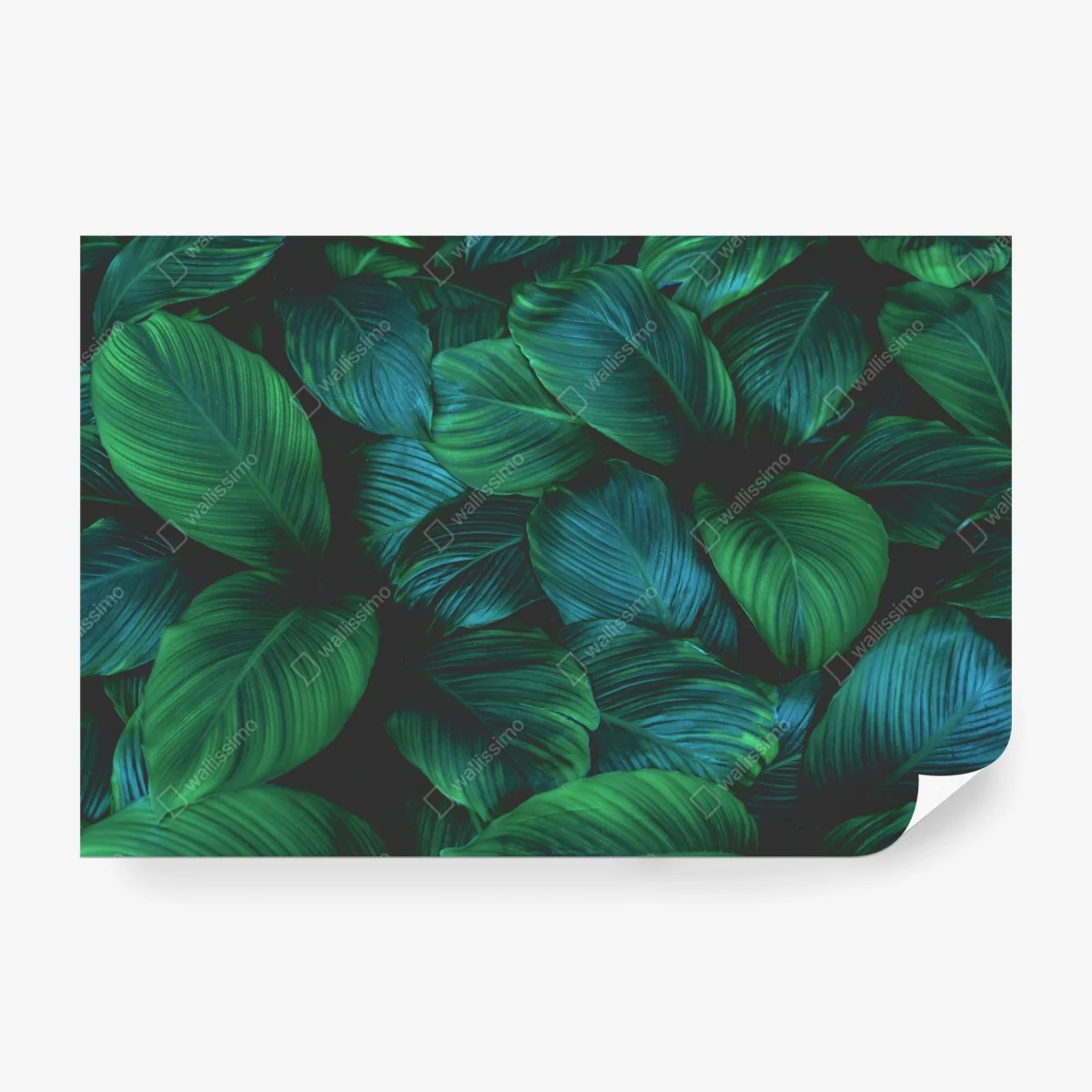 Fotomural patrón de hojas tropicales en verde profundo – Pixers® Fotomural patrón de hojas tropicales en verde profundo – Pixers®