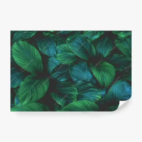 Fotomural patrón de hojas tropicales en verde profundo – Pixers®