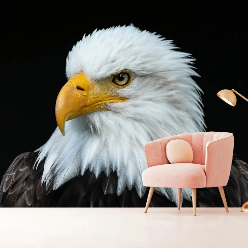 Fotomural perfil majestuoso del águila calva