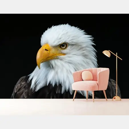 Fotomural perfil majestuoso del águila calva – Pixers®
