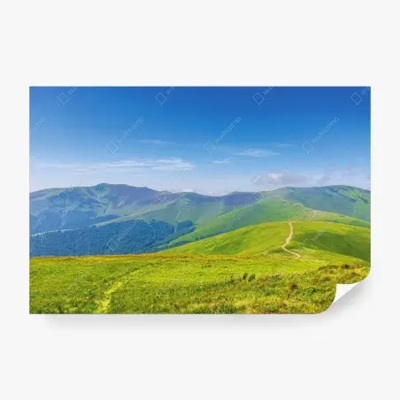 Fotomural camino hacia los picos Stoj y Velykyy Verkh en Borzhava, Ucrania – Pixers®