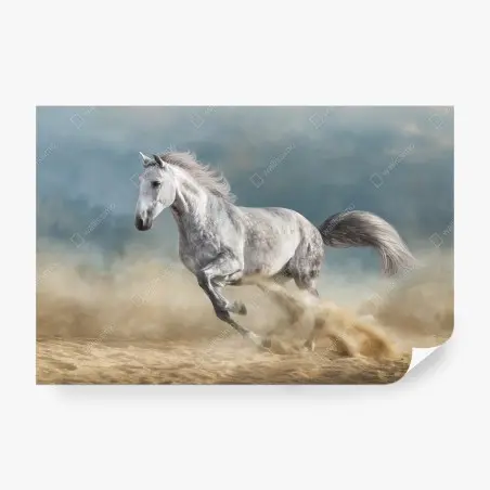Fotomural elegancia equina en pleno galope – Pixers®