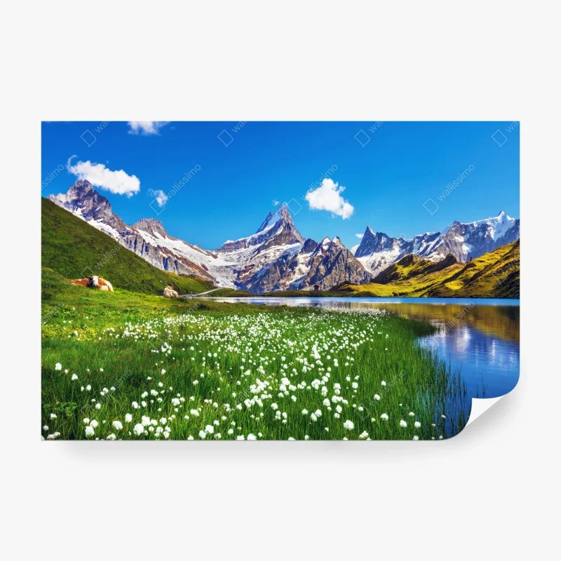 Fotomural paisaje alpino con pradera y lago cristalino