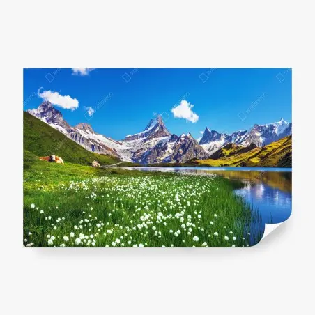 Fotomural paisaje alpino con pradera y lago cristalino – Pixers®