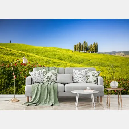 Fotomural colinas verdes y cipreses en el horizonte – Pixers®