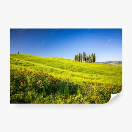 Fotomural colinas verdes y cipreses en el horizonte – Pixers®