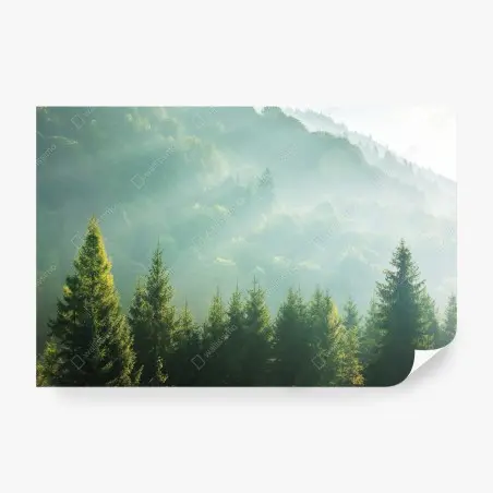 Fotomural amanecer brumoso entre abetos – Pixers®