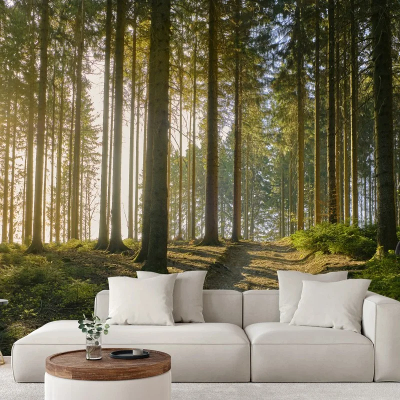 Fotomural bosque iluminado al amanecer