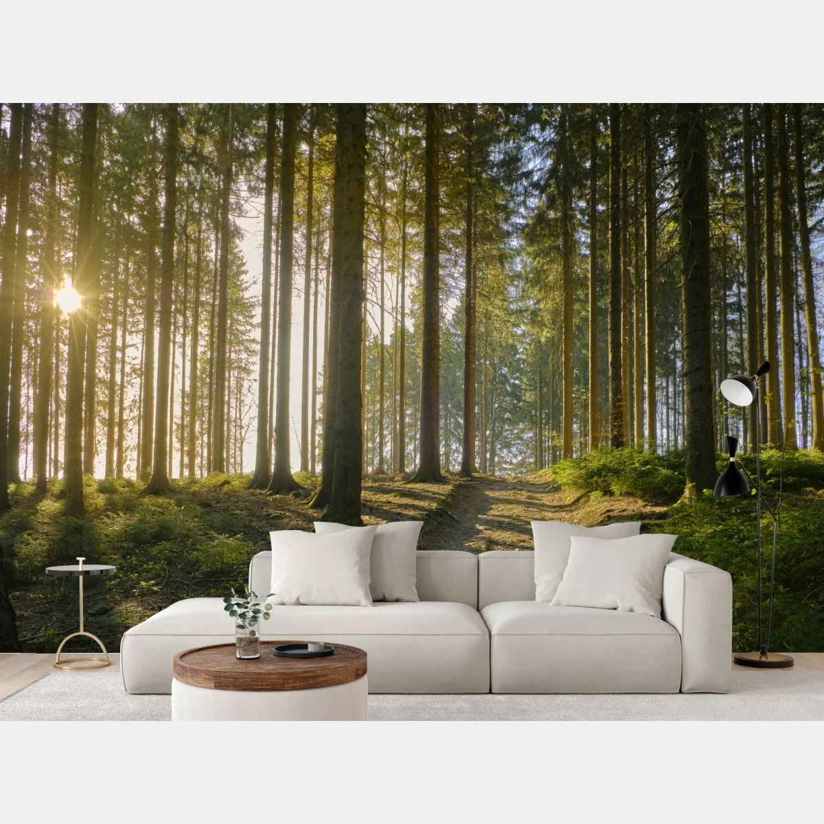 Fotomural bosque iluminado al amanecer – Pixers® Fotomural bosque iluminado al amanecer – Pixers®