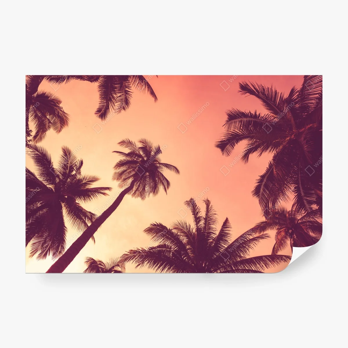 Fotomural atardecer tropical entre palmeras – Pixers® Fotomural atardecer tropical entre palmeras – Pixers®