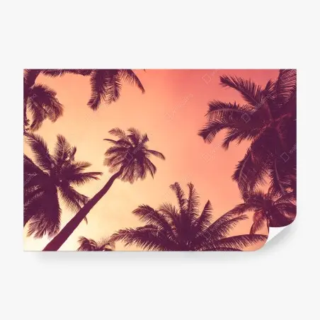 Fotomural atardecer tropical entre palmeras – Pixers®