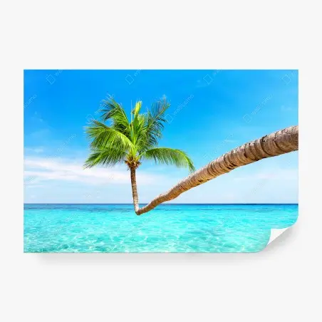 Fotomural paisaje tropical de Punta Cana – Pixers®