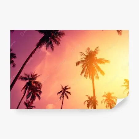 Fotomural atardecer tropical con palmeras en silueta – Pixers®