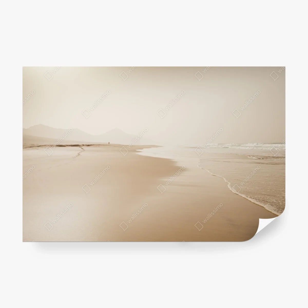 Fotomural playa serena en tonos sepia – Pixers® Fotomural playa serena en tonos sepia – Pixers®