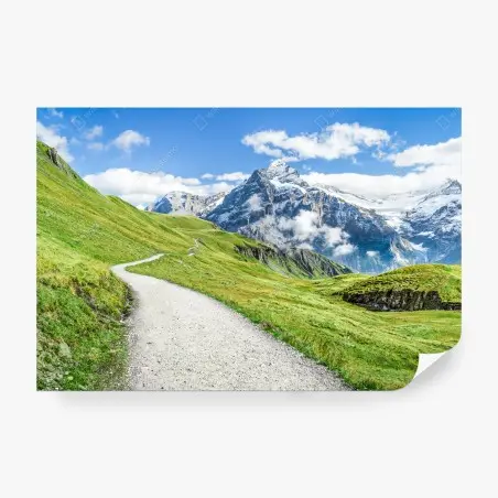 Fotomural sendero alpino hacia picos nevados – Pixers®