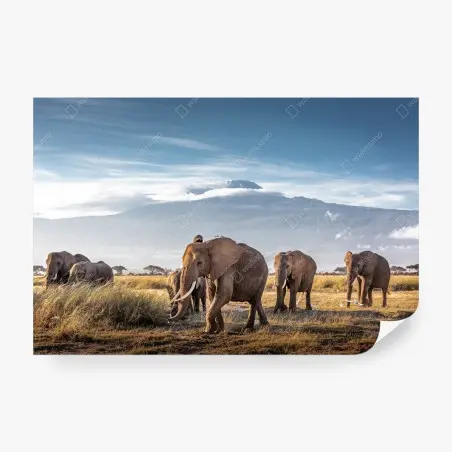 Fotomural manada de elefantes frente al Kilimanjaro – Pixers®