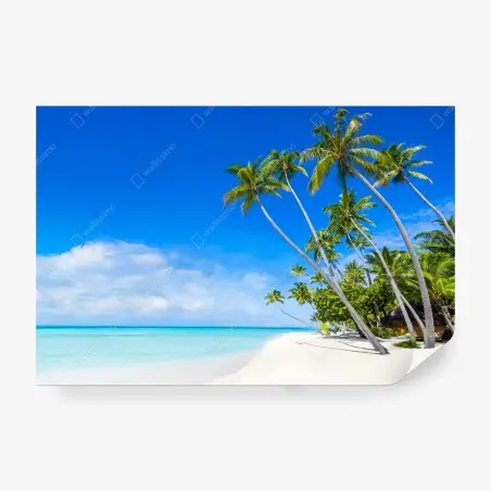 Fotomural playa tropical con palmeras y aguas turquesas – Pixers®