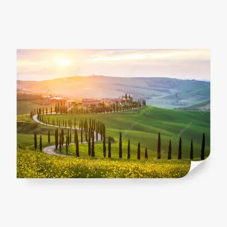 Fotomural paisaje ondulado de Toscana al amanecer – Pixers®