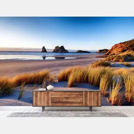 Fotomural paisaje costero de Wharariki Beach al amanecer – Pixers®