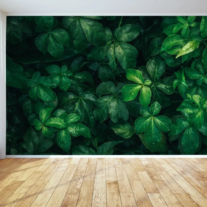 Fotomural follaje verde profundo con gotas de lluvia