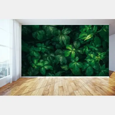 Fotomural follaje verde profundo con gotas de lluvia – Pixers®