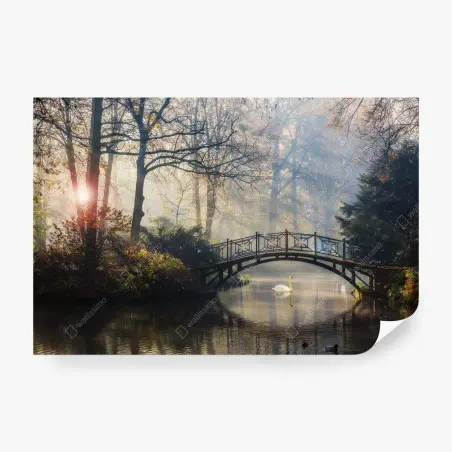 Fotomural amanecer de otoño con puente y cisne – Pixers®