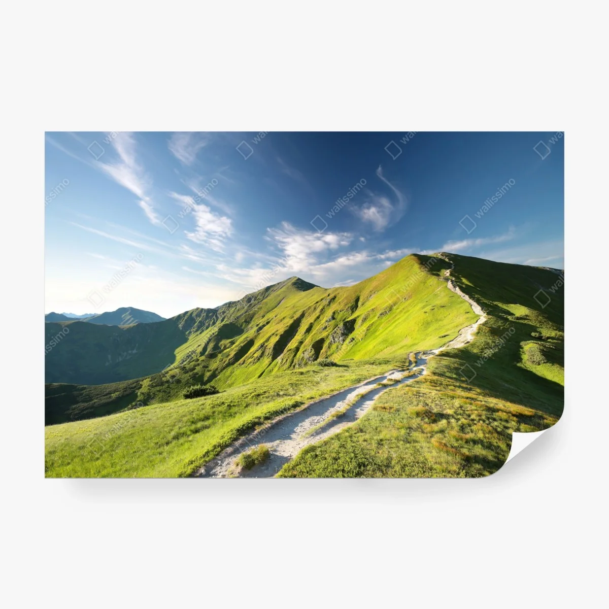Fotomural sendero hacia las cumbres verdes – Pixers® Fotomural sendero hacia las cumbres verdes – Pixers®