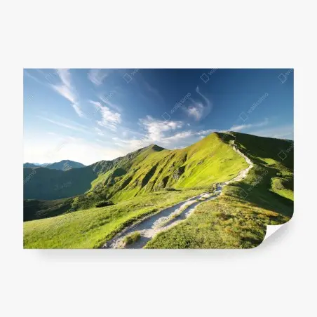 Fotomural sendero hacia las cumbres verdes – Pixers®